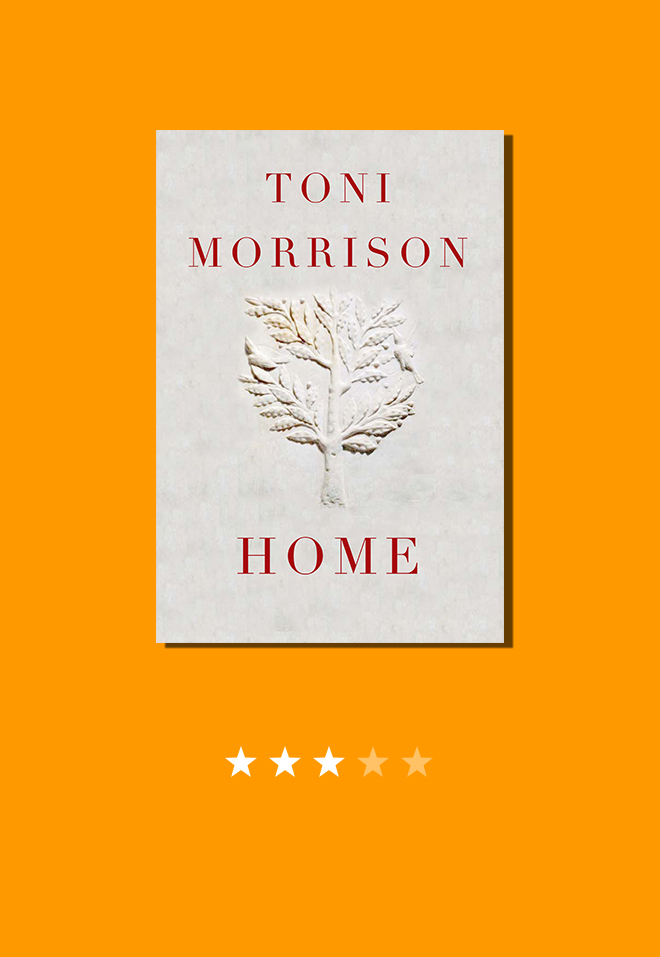 theladylovesbooks_star rating_Home